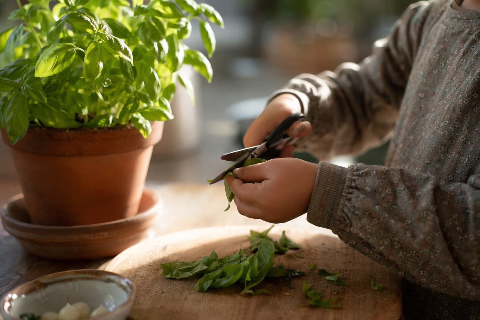 A child's hands snipping fresh basil leaves over a kitchen cutting board