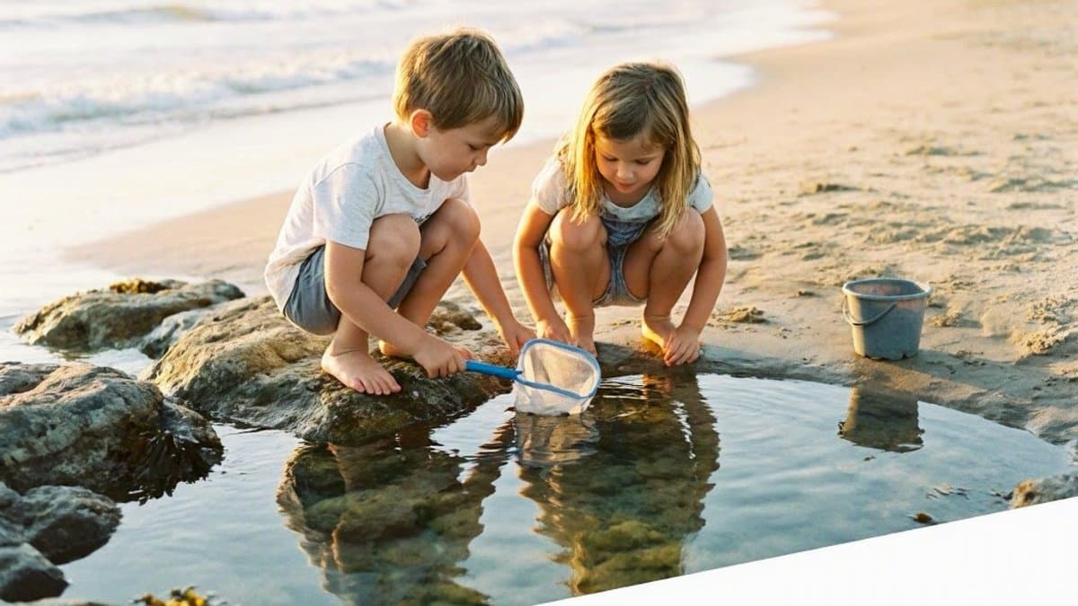 Children exploring a rocky tide pool at the beach with buckets and nets